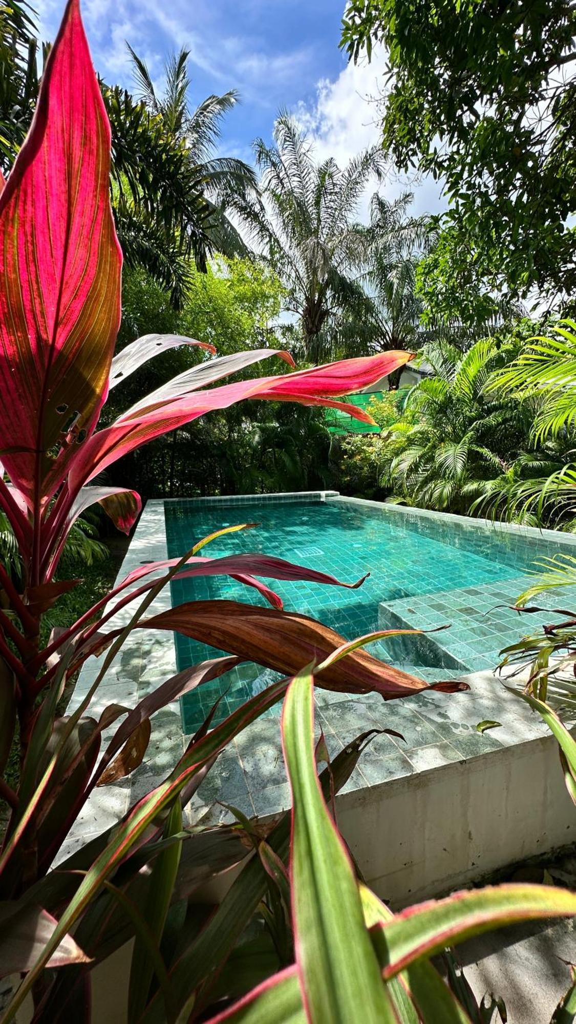 Salad Beach Guest House Ko Pha Ngan Dış mekan fotoğraf