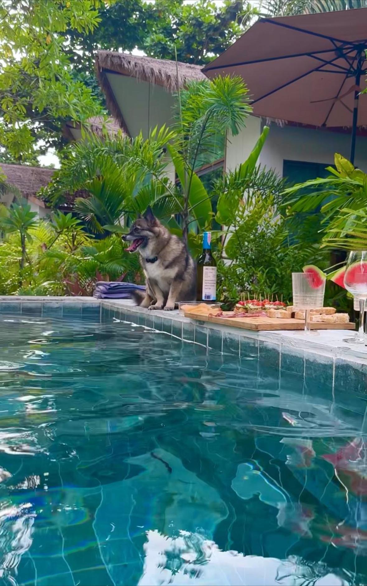 Salad Beach Guest House Ko Pha Ngan Dış mekan fotoğraf